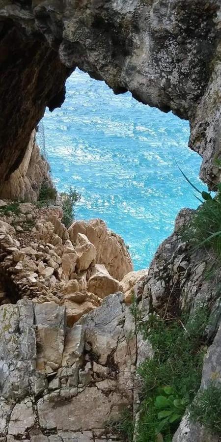 Bed and Breakfast Il Girasole ...At Andorus' House Erli Exterior foto