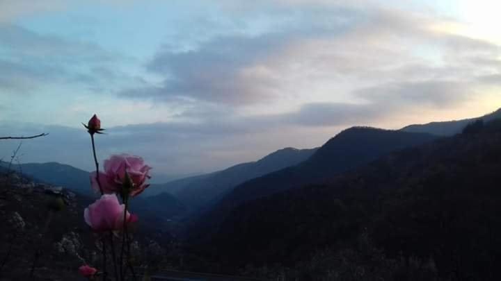 Bed and Breakfast Il Girasole ...At Andorus' House Erli Exterior foto